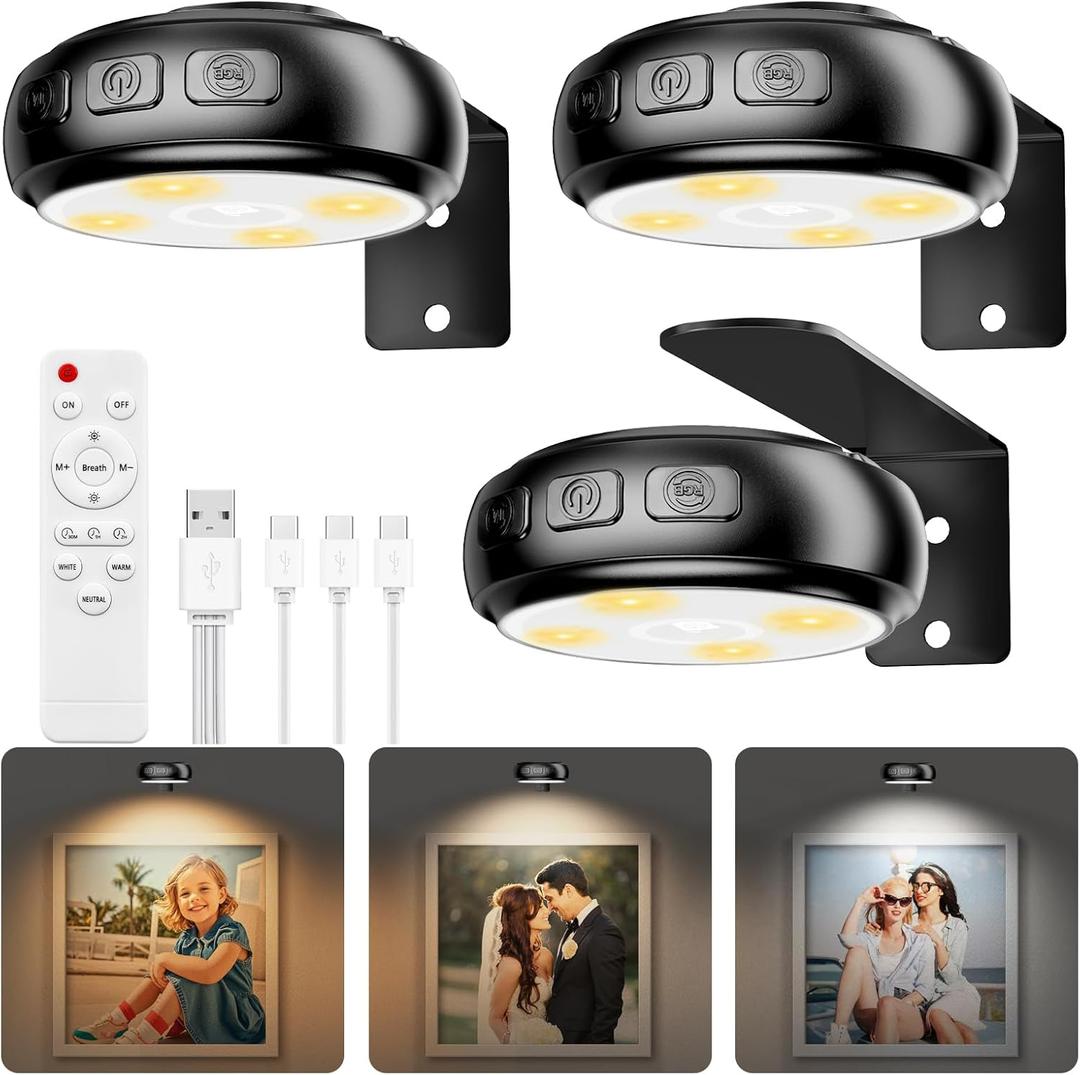 3 Pack Picture Light for Wall with 1200mAh Rechargeable Battery Operated Lights Remote Dimmable Timer Painting Light Magnetic 3 Adjustable Lighting RGB Modes Wall Decor Lights for Living Room (Black)