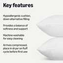 Amazon Basics Throw Pillow Insert, Down Alternative Fiberfill, Hypoallergenic, Machine Washable, 20 Inch, 2-Pack, for Sofa Bed Couch