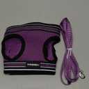 rabbitgoo Cat Harness and Leash Set for Walking Escape Proof, Adjustable Soft Kittens Vest with Reflective Strip for Cats, Comfortable Outdoor Vest, Purple, L