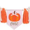 Little Pumpkin 1st Birthday High Chair Banner  Fall First Birthday Party Decor for Baby Girls, Pink and Orange Yarn Tassel Highchair Banner, Our Little Pumpkin Is One Party Decor