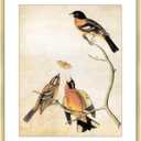 10x12 Picture Frame, Brass Aluminum Metal Photo Frames with HD Glass, Fits 8x10 with Mat or 10 x 12 without Mat, Display for Wall, 1 Pack