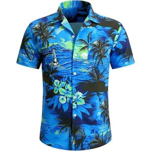 Men's Hawaiian Shirt Short Sleeves Printed Casual Button Down Funky Summer Tropical Holiday Beach Male Shirts (Blue, Large)