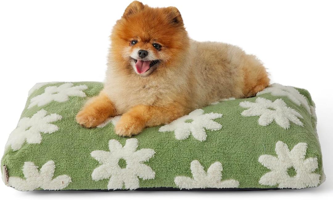 Lesure Small Dog Beds-Thick Shredded Chopped Foam Pet Bed Indoor with Removable Cover, Cute Modern Fuzzy Plush & Anti Slip Bottom, Green (24.0"L x 16.0"W x 2.5"Th)