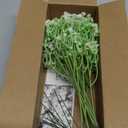 Yastouay Babys Breath Artificial Flowers, 12Pcs Fake White Babys Breath Flowers Artificial Bulk, Real Touch Faux Babies Breath Gypsophila Bouquet for Wedding Floral Arrangement Party Decor