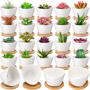 Domensi 24 Pack Succulent Planter Pots 3 Inch Small Plant Pots Mini Ceramic Succulent Planter Holder with Drainage Holes and Bamboo Saucers (White)