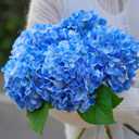 5 Pcs 18.5 inch Faux Silk Blue Hydrangea Artificial Flowers, Fake Flowers with Stems, for Wedding Bouquets Home Decor Table Centerpieces Outdoor Office Family Party Decoration