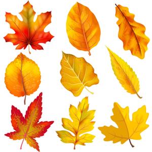 Lucleag 45 PCS Fall Maple Leaves Cutouts for Bulletin Board Decoration, Autumn Leaves Cutouts Fall Leaf Cut Outs for Thanksgiving Fall Autumn Party School Classroom Bulletin Board Decorations