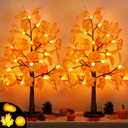 2 Pack 24 Inch Fall Maple Tree with 48LED Battery Operated Lighted Tabletop Artificial Tree with Pumpkin Acorn Maple Fall Centerpieces Indoor Fall Decorations for Home Office Thanksgiving Table Decor