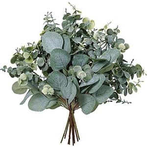 10 Pcs Mixed Eucalyptus Leaves Stems Bulk Artificial Silver Dollar Picks Faux Branches for Vase Bouquets Floral Arrangement Wreath Farmhouse Rustic Greenery Decor