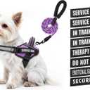 Service Dog Vest Harness and Leash Set, Animire in Training Dog Harness with 10 Dog Patches, Reflective Dog Leash with Soft Padded Handle for Small, Medium, Large, and Extra-Large Dogs (XXS, Purple)