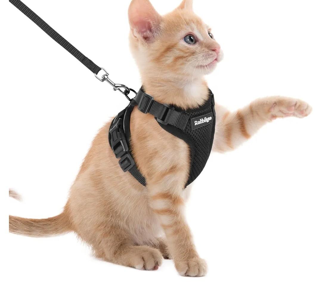 rabbitgoo Cat Harness and Leash for Walking, Escape Proof Soft Adjustable Vest Harnesses for Cats, Easy Control Breathable Reflective Strips Jacket, Black, XXS