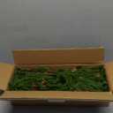 WBHome 12 Pcs Christmas Norfolk Pine Branches with Pine Cones - 18" Real Touch Norfolk Pine Branch- Artificial Xmas Branches Plants Pine Needles for DIY Craft Garland Home Garden Decor