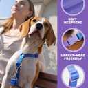 DF Freedom No Pull Martingale Dog Harness and Leash Set, Front Clip Adjustable Harness with Reflective & Padded Handle, Easy Walking & Training, Rainbow, 1", Chest 24.4" - 32.4"