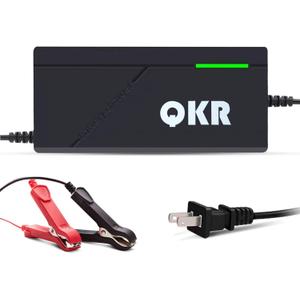 14.6V 10A LiFePO4 Battery Charger Special for 12V LiFePO4 Battery, Trickle Charger for Lithium Iron Phosphate Battery, Battery Maintainer, Built-in Safety Protections, Support Fast Charging