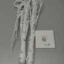 PEIDUO Christmas Decorations Indoor, 2 FT Birch Tree with LED Lights, Fairy Light Spirit Tree for Christmas Decor, Warm White Lighted Birch Trees for Home Decor Indoor, Battery Powered, Timer (2PK)