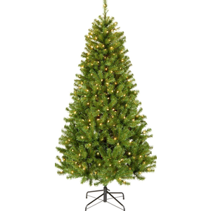 National Tree Company 6 ft Pre-Lit Flocked Acacia Artificial Christmas Tree, 300 Clear Lights, 840 Branch Tips, Includes Stand, Green