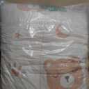 SANDJEST Bear Comforter Set Twin Size 68x86in for Kids Boys Girls Unisex, Microfiber 3 Pcs Bedding Set Includes 1 Comforter, 1 Pillowcase, 1 Fitted Sheet, Nursery Room Decor