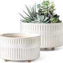 LE TAUCI Succulent Planters, 6.5+8 Inch Ceramic Indoor Plant Pot with Drainage Hole, Shallow Round Succulent Pots, Set of 2, Reactive Glaze White