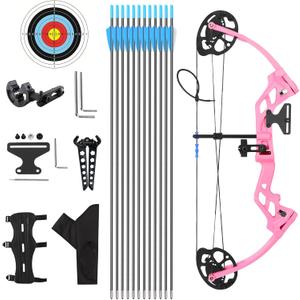 Compound Bow and Arrow for Youth and Beginner, Archery Bow Set for Kids 8-12, 16-20 lbs Draw Weight, 17.3"-26" Draw Length