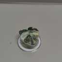 OnTheGrip Compatible with Magsafe Magnetic Cute Acrylic Tropical Leaf Design Collapsible Mobile Phone Grip Stand Holder for Smartphone Tablet Cell Phone Accessory (Monstera Deliciosa)