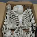 5.4FT Halloween Skeleton Life Size Human Adult Skeletons with Skeleton Dog Halloween Decorations for Indoor Outdoor Garden Lawn,Haunted House Props, Spooky Scene Party Decor, Set AA