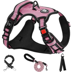 NESTROAD No Pull Dog Harness,Adjustable Oxford Dog Vest Harness with Leash,Reflective No-Choke Pet Harness with Easy Control Soft Handle for Small Dogs(Small,Pink) (Sneck 11-15" chest 15-21")