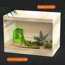 DONGKER Bearded Dragon Feeder,Anti-Escape Lizard Corner Terrarium Bowl with Suction Cups for Lizard Bearded Dragon Gecko Frog