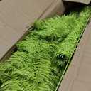 HMASYO 5ft Whimsical Artificial Christmas Tree with 150 LED Timer Lights, Lime Green Bendable Christmas Tree with Ball Ornaments & Metal Base Holiday Decor for Home, Office, Party, Easy Assembly
