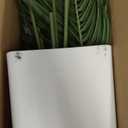 5ft Artificial Palm Tree with White Planter-Tall Artificial Indoor Plants, Fake Tropical Palm Tree, Faux Silk Plants for Home Office Living Room Bedroom Modern Decor