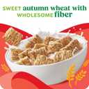 Kashi Breakfast Cereal, Organic, Whole Grain, Autumn Wheat, 18oz Box (1 Box) (EXP 05/16/26)