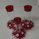 More Birds Bird Health+ Ruby Hummingbird Feeder, Glass Hummingbird Feeders for Outdoors, 4 Feeding Stations, 10 Ounces, Ruby Red
