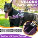 Neck Padded Service Dog Vest Harness and Leash Set, No Pull Adjustable Service Pet Harness with 8 Dog Patches, Reflective in Training Easy Control Pet Vest with 5ft Dog Leash for Medium & Large Dogs (Purple)