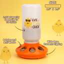 TGEYD Chick Feeder and Waterer Set Automatic 1L Chicken Feeder and Waterer for Baby Chicks, Ducks, and Quail Brooder Starter Kit & Chicken Coop Accessories
