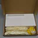 50 Set Bulk Employee Appreciation Gift for Social Worker Coworker Office Thank You Small Funny Desk Pets Cute Resin Ornament Party Favor Positive Volunteer Emotional Card Box (Heart Duck)