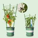 Garden Plant Support Tomato Cage, Upgrade Trellis for Climbing Plants, Plant Trellis Kits (2 Pack-18)