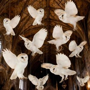 Preboun 20 Pcs Magical Wizard Party Decorations Magical Hanging Snow Owl Decorations Wizard Theme Birthday Paper Owl Ceiling Streamers Ornaments for Kids School Woodland Animal Classroom Birthday