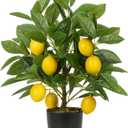 Artificial Potted Plants 15.7 inches Fake Lemon Tree Artificial Lemons Citrus Tree with Black Pot Faux Plants Indoor for Home,Office, Living Room Table, Desk