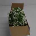 Lyrow 6 Pieces Artificial Baby Breath Flower Vines 5.9ft Faux Hanging Gypsophila Greenery Garland Vines Fake Bulk Baby Breath Garland for Wedding Party Table Home Backdrop Wall Decor (White)