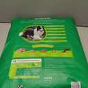 IAMS Proactive Health Adult Minichunks Premium Dry Dog Food, Adult Dog Food Dry Recipe, 30 lb. Bag (EXP 10/15/25)