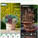 Faux Artificial Plants Flowers for Outdoor Planters Spring Summer Decor 16 Bundles Fake Eucalyptus Silk Daisy UV Resistant Realistic Used for Outside,Home,Front Porch,Patio,Yard Decorations