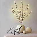 PEIDUO Lighted Branch, 30Inch 2PK 40 LED Pathway Lights, Battery Operate with Timer, for Christmas Decorations Indoor Outdoor Room Apartment Stake Lights for Lawn