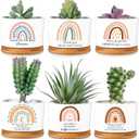 Sieral 6 Pcs Thank You Appreciation Gift Friends Succulent Pots Mini Ceramic Plant Pot with Bamboo Tray Succulent Planter for Coworker Employee Teacher, Valentine's Gift, Plants Excluded (Boho Style)