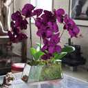 38 Inch Purple Flowers Faux Orchid 6 PCS Orchids Artificial Flowers Velvet Flowers Long Stem Artificial Flowers for Tall Vase for Home Wedding Decoration(Dark Purple)
