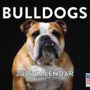 Bulldog Calendar 2026 Wall 12 Month Monthly Bull dog Gifts For Bulldog Lovers Women Men Mom Dad | American Made In The USA