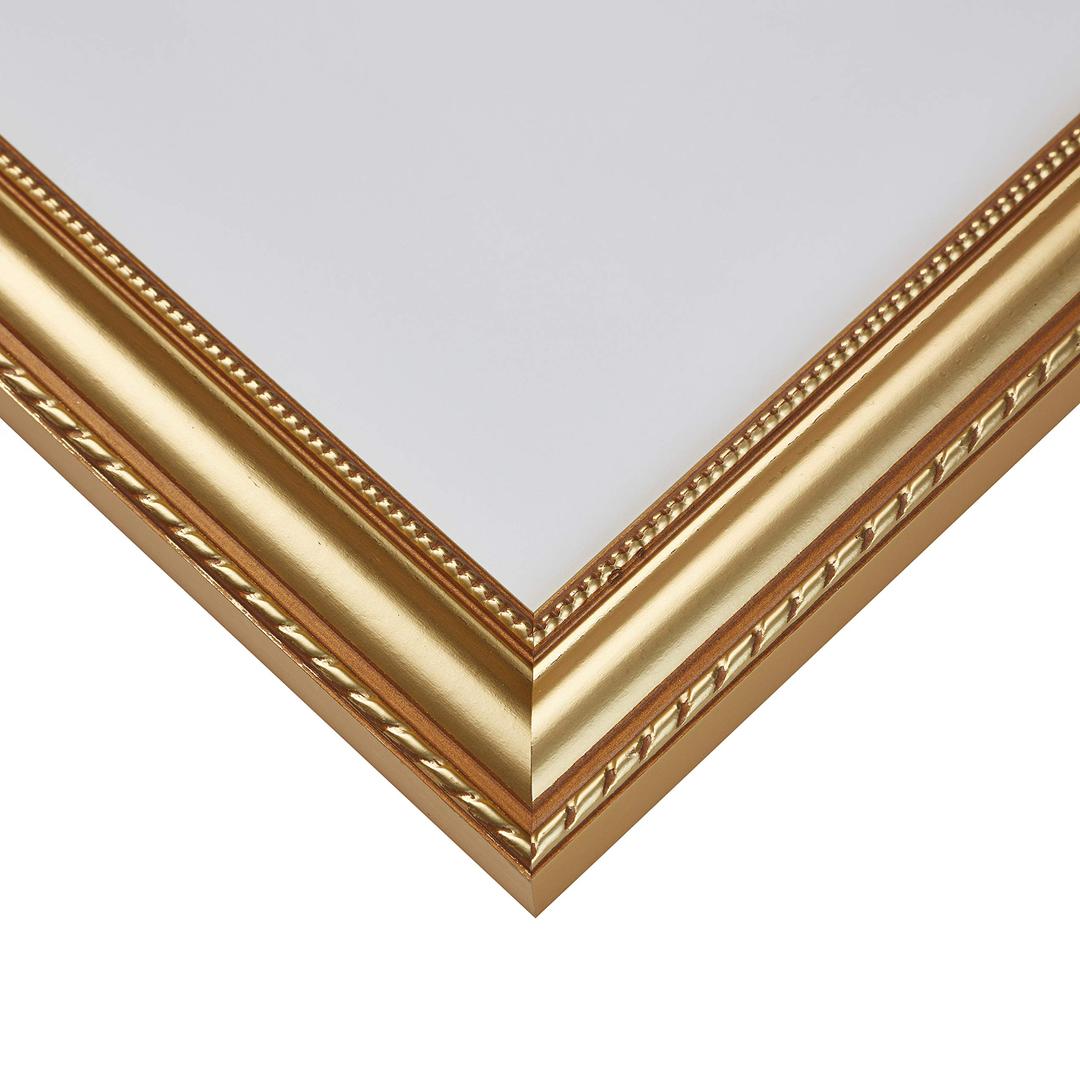 Craig Frames Victoria, 26x38 Large Poster Frame, Wall Hanging, Dual Display Format, Aged Gold 