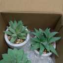 Der Rose 3pcs Fake Succulents Plants Artificial for Bathroom Bedroom Home Room Decor Aesthetic Indoor (White)