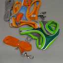 Dog Harness and Leash Set XS (Green & Orange)