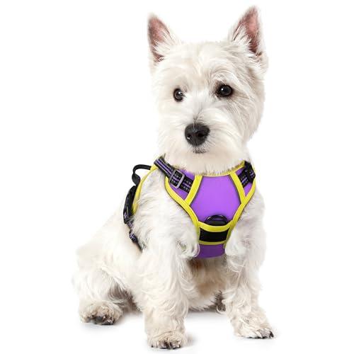 rabbitgoo Dog Harness No Pull with 2 Leash Clips, Adjustable Soft Padded, Reflective Oxford No Choke Pet Vest with Easy Control Handle for Puppy, Purple & Yellow, XS