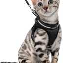 rabbitgoo Cat Harness and Leash Set for Walking Escape Proof, Adjustable Soft Kittens Vest with Reflective Strip for Cats, Comfortable Outdoor Vest, Black, XL
