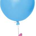 Hallmark Keepsake Christmas Ornament 2025, Disney Winnie The Pooh Up for Adventure with Light, Gifts for Disney Fans